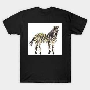 Zebra paint doodle T-Shirt